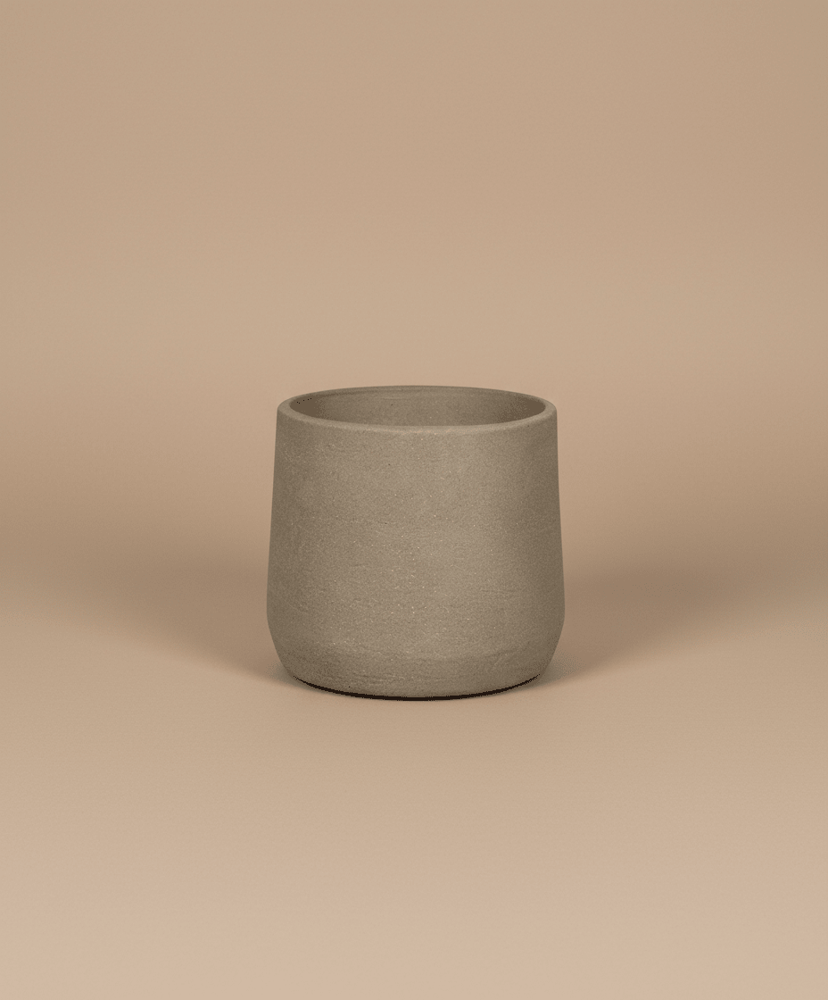 Esben 06D | Mix Colors Pot - Lightweight, Heat - Tolerant - Acacia Garden Center
