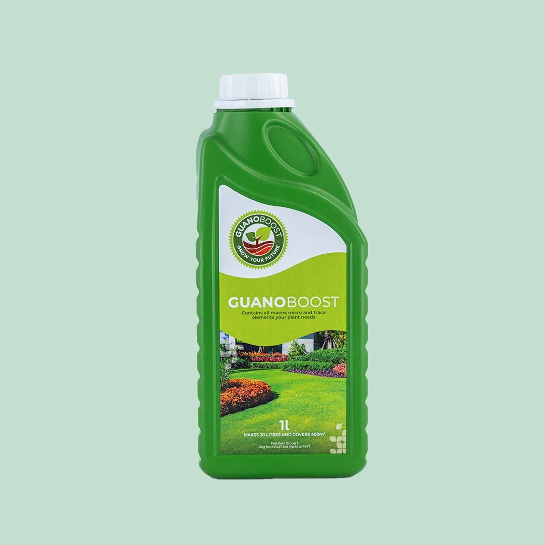 Fertilizer Guano Boost | Pure Organic (Indoor & Potted Plants) - Acacia Garden Center