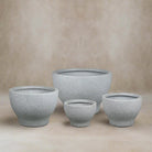 Fiber Clay Pot DW209579 - PD9 - Acacia Garden Center