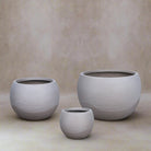 Fiberclay DW235784 | Dark Grey Pot - Lightweight, Heat - Tolerant - Acacia Garden Center