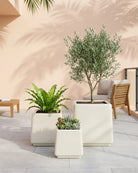 Fiberglass Planter, HP 1010, Shiny White - Acacia Garden Center