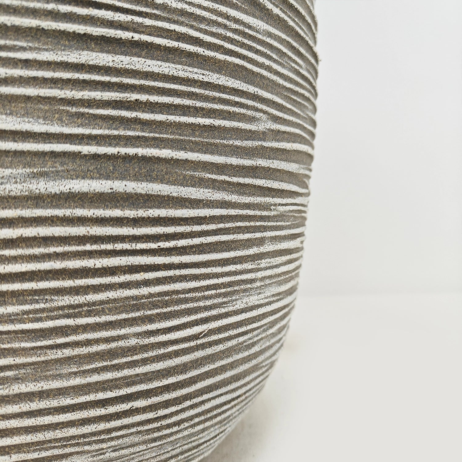 Ficus Elastica (Rubber plant) | 70 - 80 cm - Acacia Garden Center