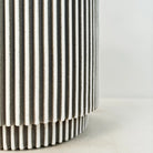 Ficus Elastica (Rubber plant) | 70 - 80 cm - Acacia Garden Center