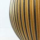 Ficus Elastica (Rubber plant) | 70 - 80 cm - Acacia Garden Center