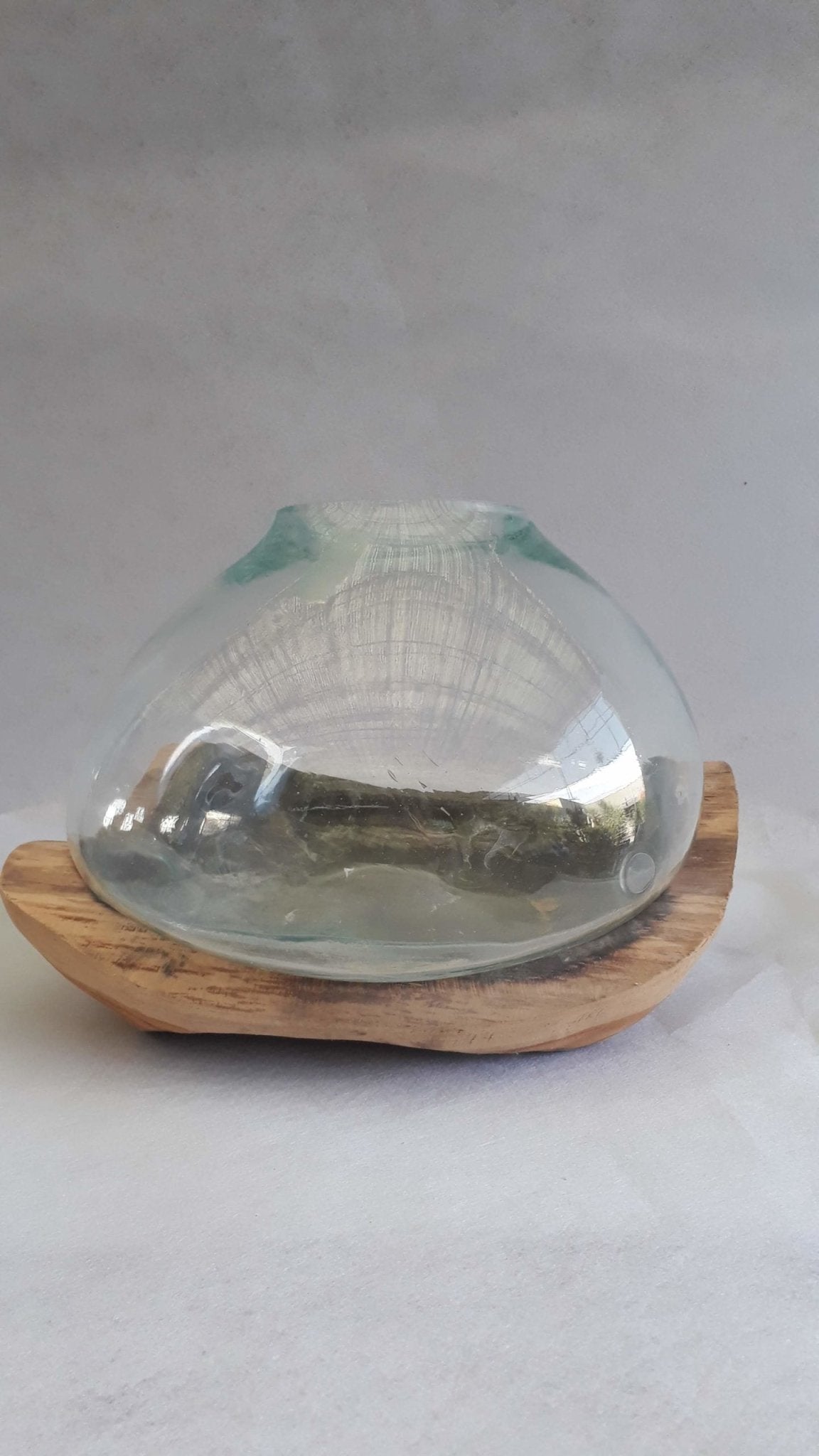 Fish Bowl In Drift Wood - Acacia Garden Center