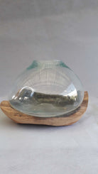 Fish Bowl In Drift Wood - Acacia Garden Center