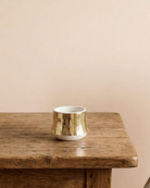 Golden Mirror Finish Ceramic Pot | Small Decorative Planter - Acacia Garden Center