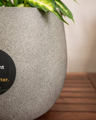 Grigio Balloon Pot | Spherical Planter - Acacia Garden Center