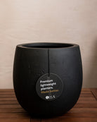 Grigio Balloon Pot | Spherical Planter - Acacia Garden Center