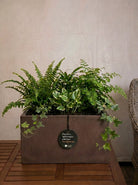 Grigio Box Planter | Rectangular Trough - Acacia Garden Center