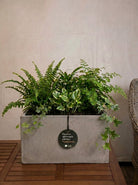 Grigio Box Planter | Rectangular Trough - Acacia Garden Center
