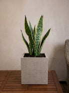 Grigio Cube Planter | Square Pot - Acacia Garden Center