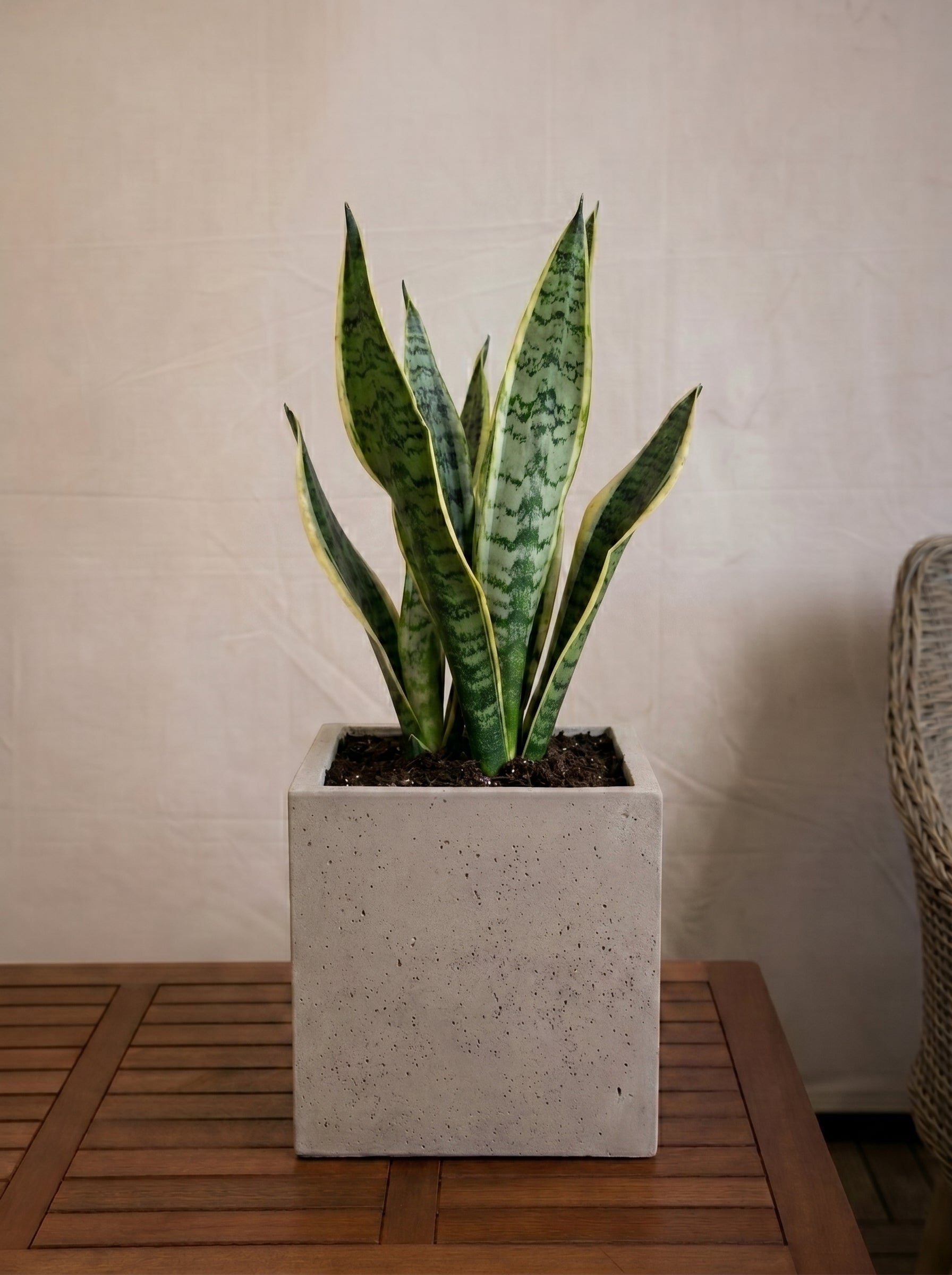 Grigio Cube Planter | Square Pot - Acacia Garden Center