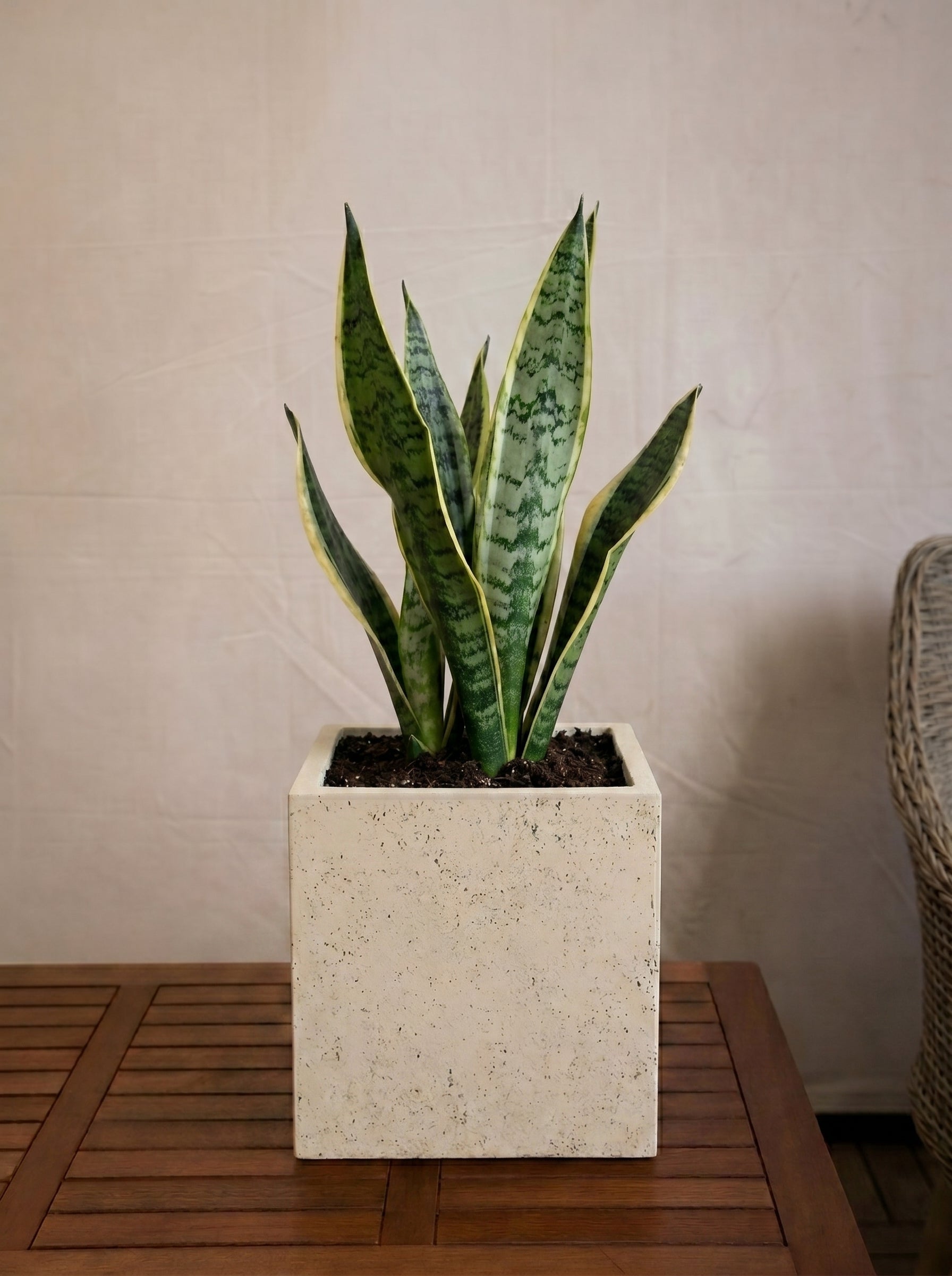 Grigio Cube Planter | Square Pot - Acacia Garden Center