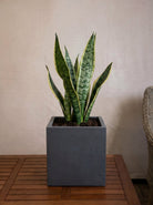 Grigio Cube Planter | Square Pot - Acacia Garden Center