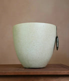 Grigio Egg Pot (Antique White) - Acacia Garden Center