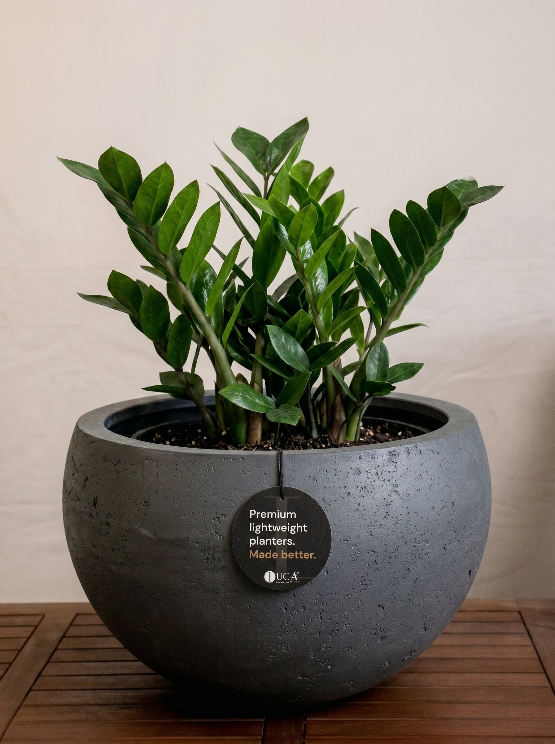 Grigio Elena Pot | Wide Sculptural Planter - Acacia Garden Center