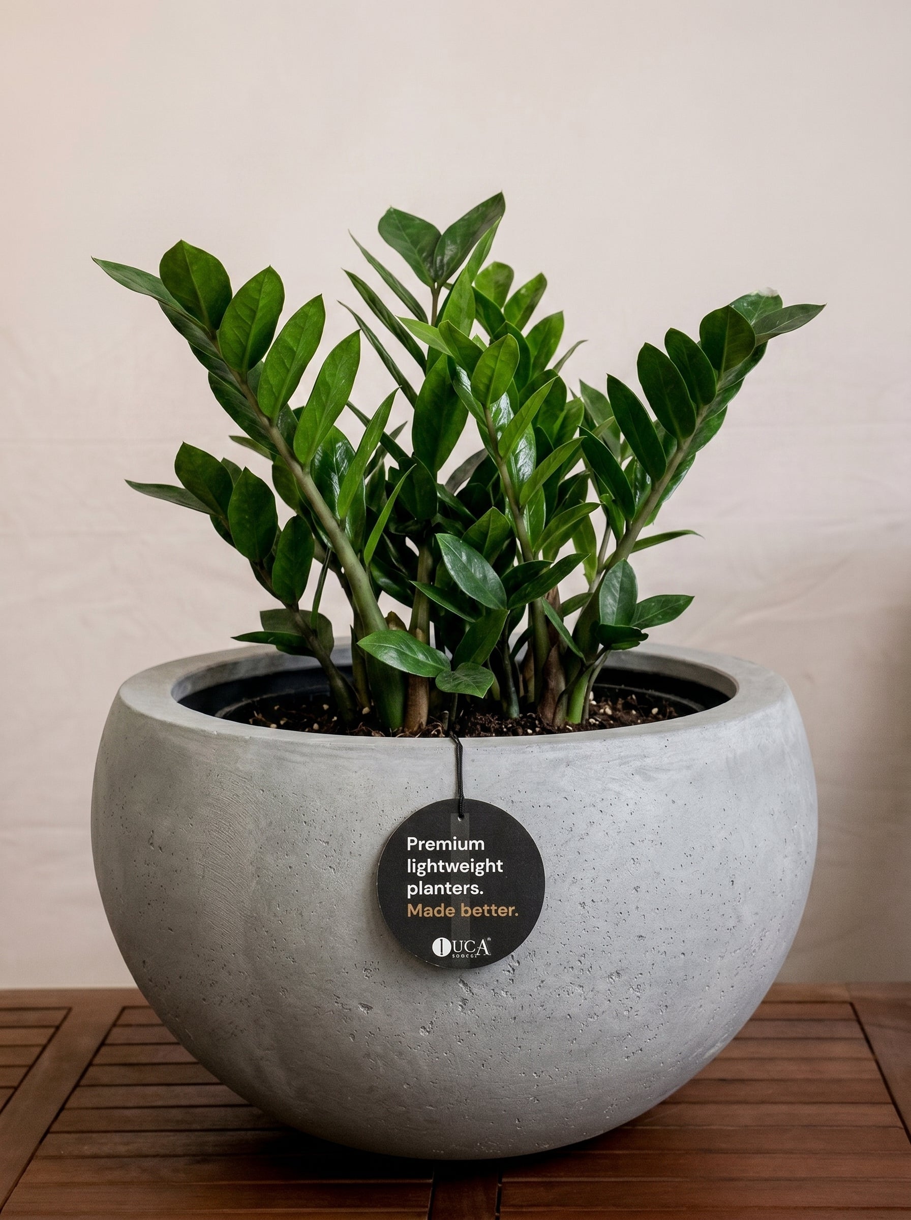Grigio Elena Pot | Wide Sculptural Planter - Acacia Garden Center