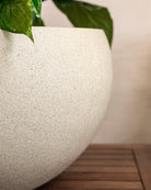 Grigio Elena Pot | Wide Sculptural Planter - Acacia Garden Center