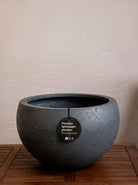 Grigio Elena Pot | Wide Sculptural Planter - Acacia Garden Center