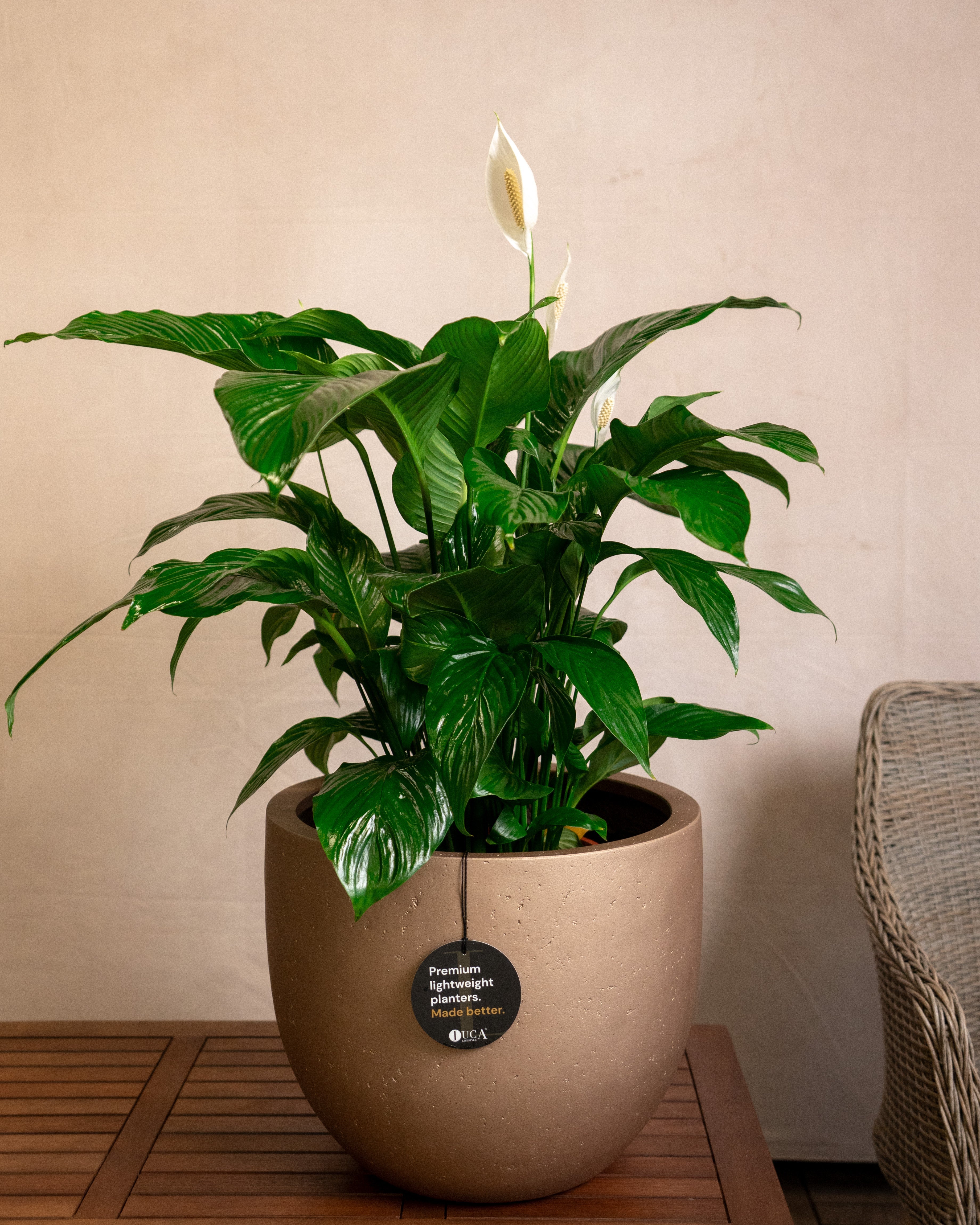 Grigio Metallic New Egg Pot | Champagne Planter, Dia. 36–55 cm - Acacia Garden Center