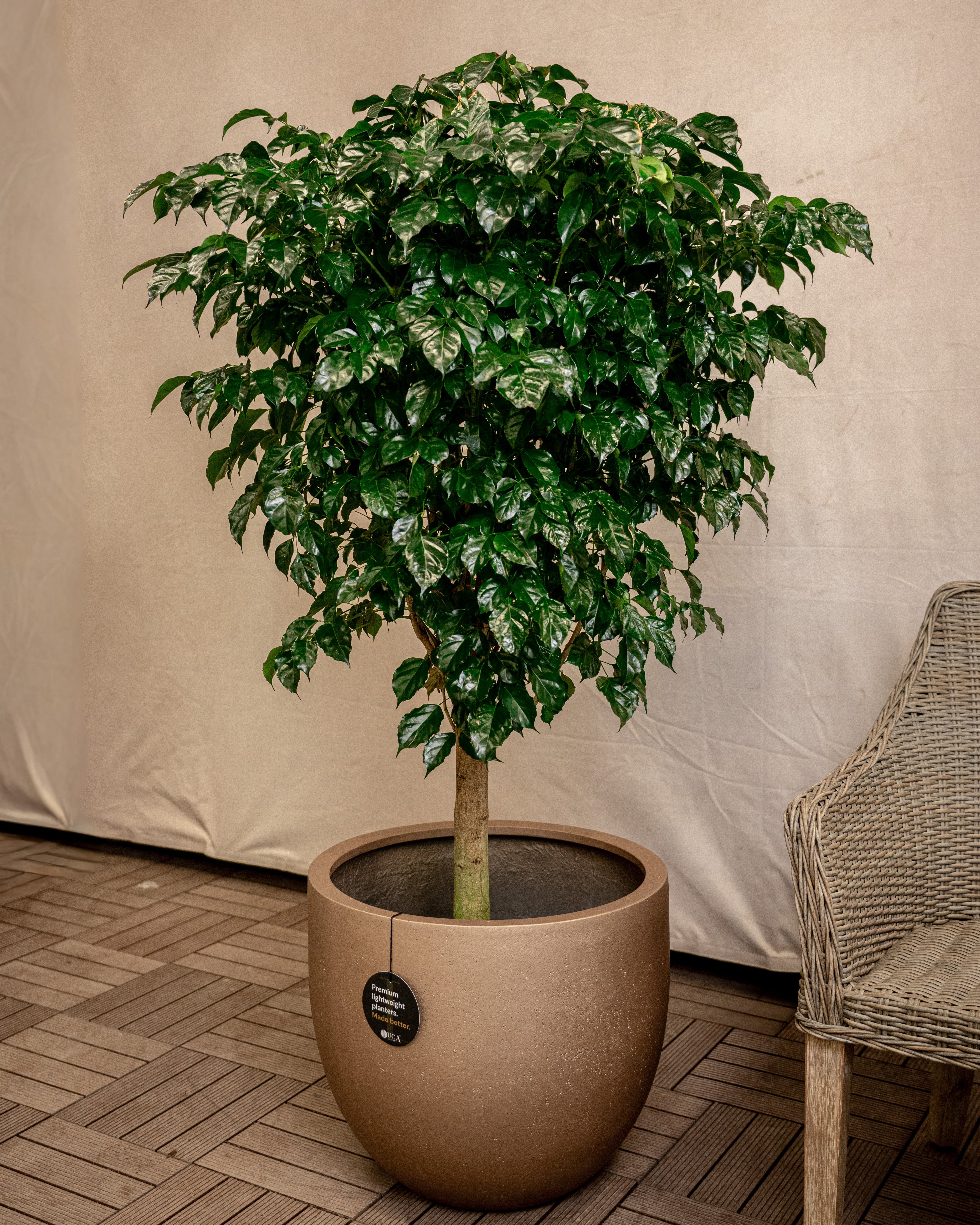Grigio Metallic New Egg Pot | Champagne Planter, Dia. 36–55 cm - Acacia Garden Center