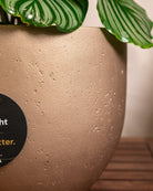 Grigio Metallic New Egg Pot | Champagne Planter, Dia. 36–55 cm - Acacia Garden Center