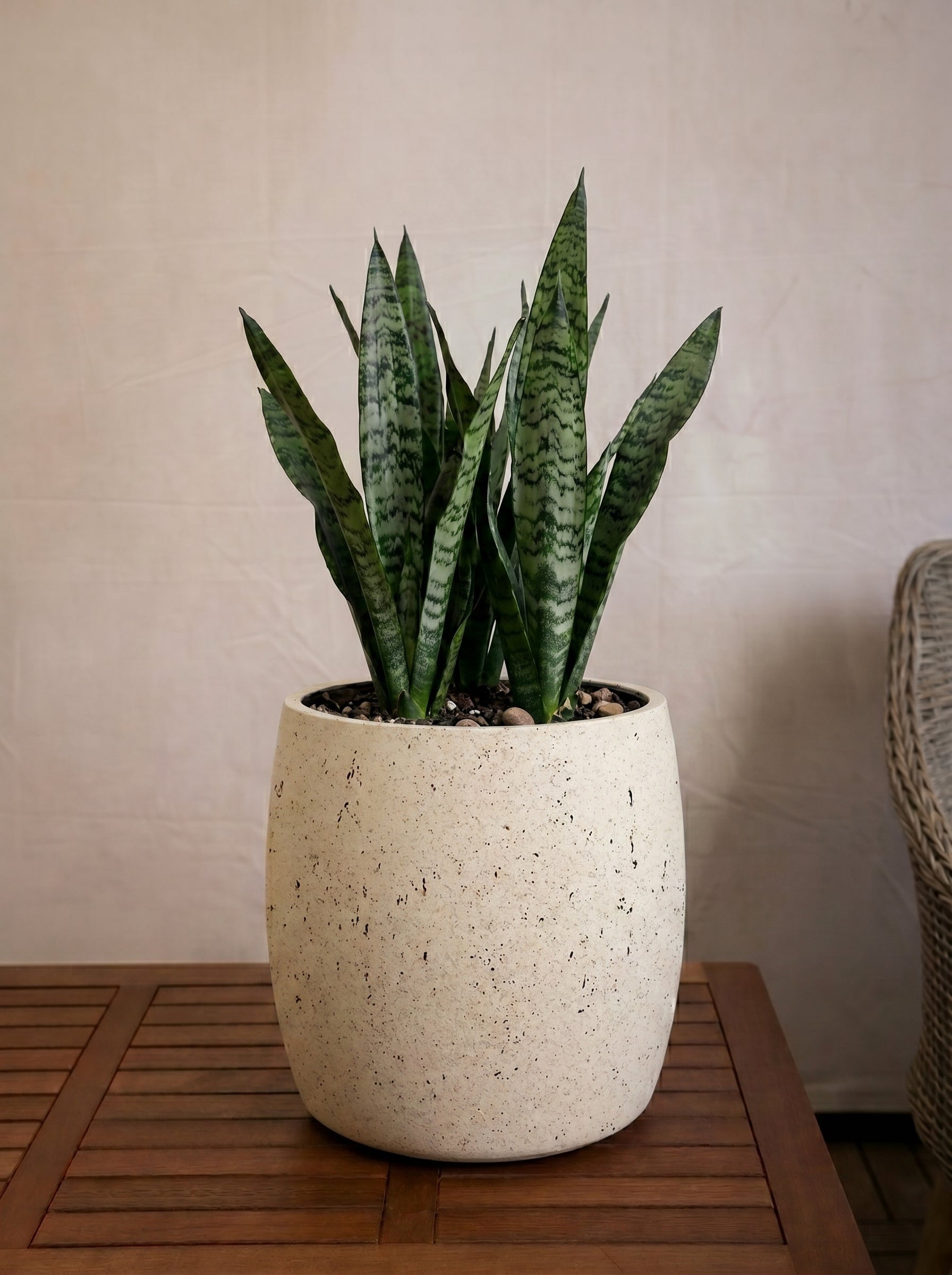 Grigio Modern Pot | Round Planter, Dia. 34–68 cm - Acacia Garden Center
