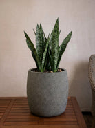 Grigio Modern Pot | Round Planter, Dia. 34–68 cm - Acacia Garden Center