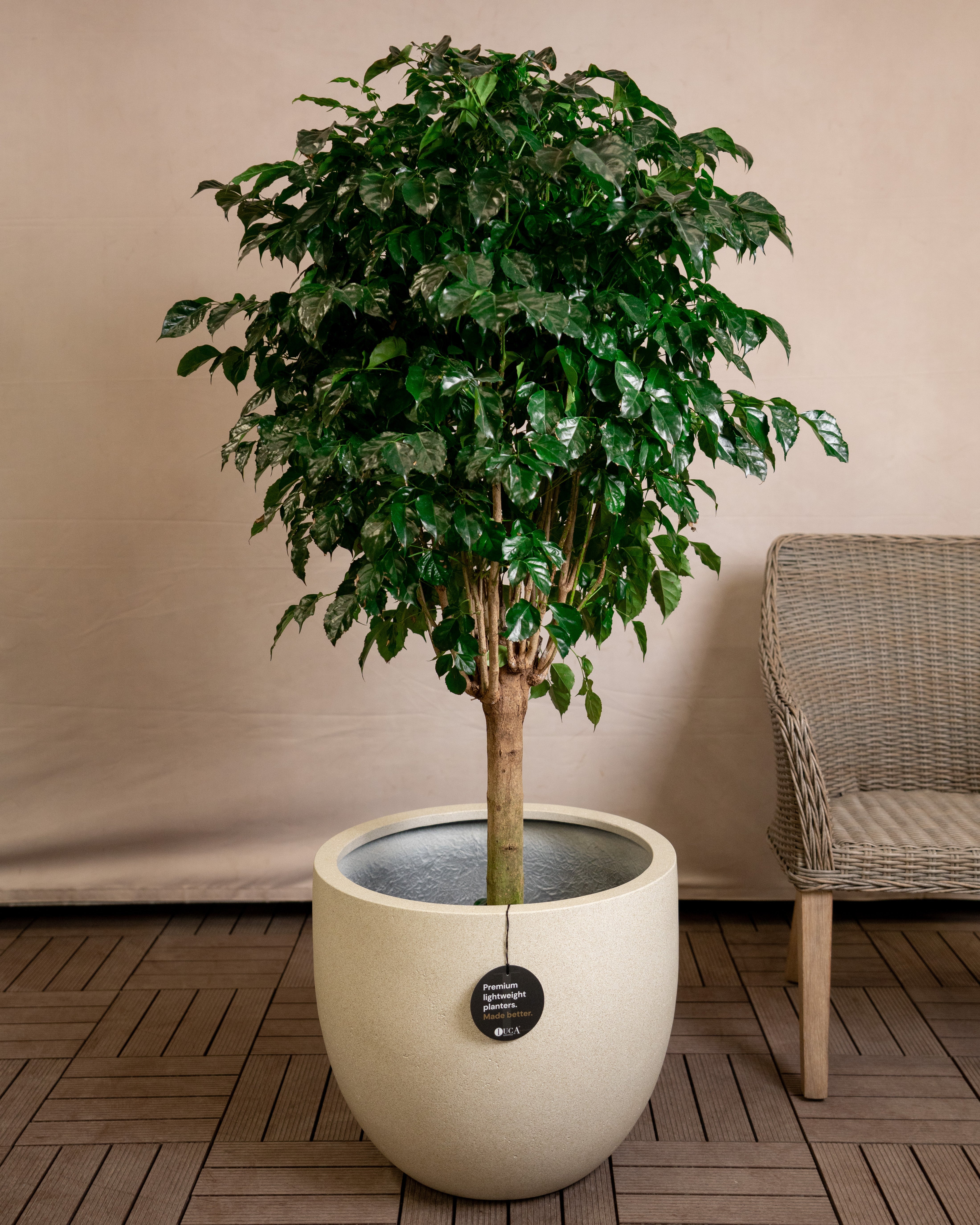 Grigio New Egg Pot | Classic Egg Planter - Acacia Garden Center