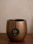 Grigio New Egg Pot | Classic Egg Planter - Acacia Garden Center
