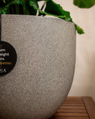 Grigio New Egg Pot | Classic Egg Planter - Acacia Garden Center