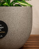 Grigio New Egg Pot | Classic Egg Planter - Acacia Garden Center