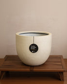 Grigio New Egg Pot | Classic Egg Planter - Acacia Garden Center