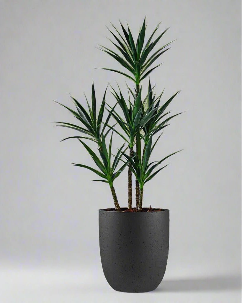 Grigio Tall Egg Pot | Premium Planter, Dia. 30–88 cm - Acacia Garden Center