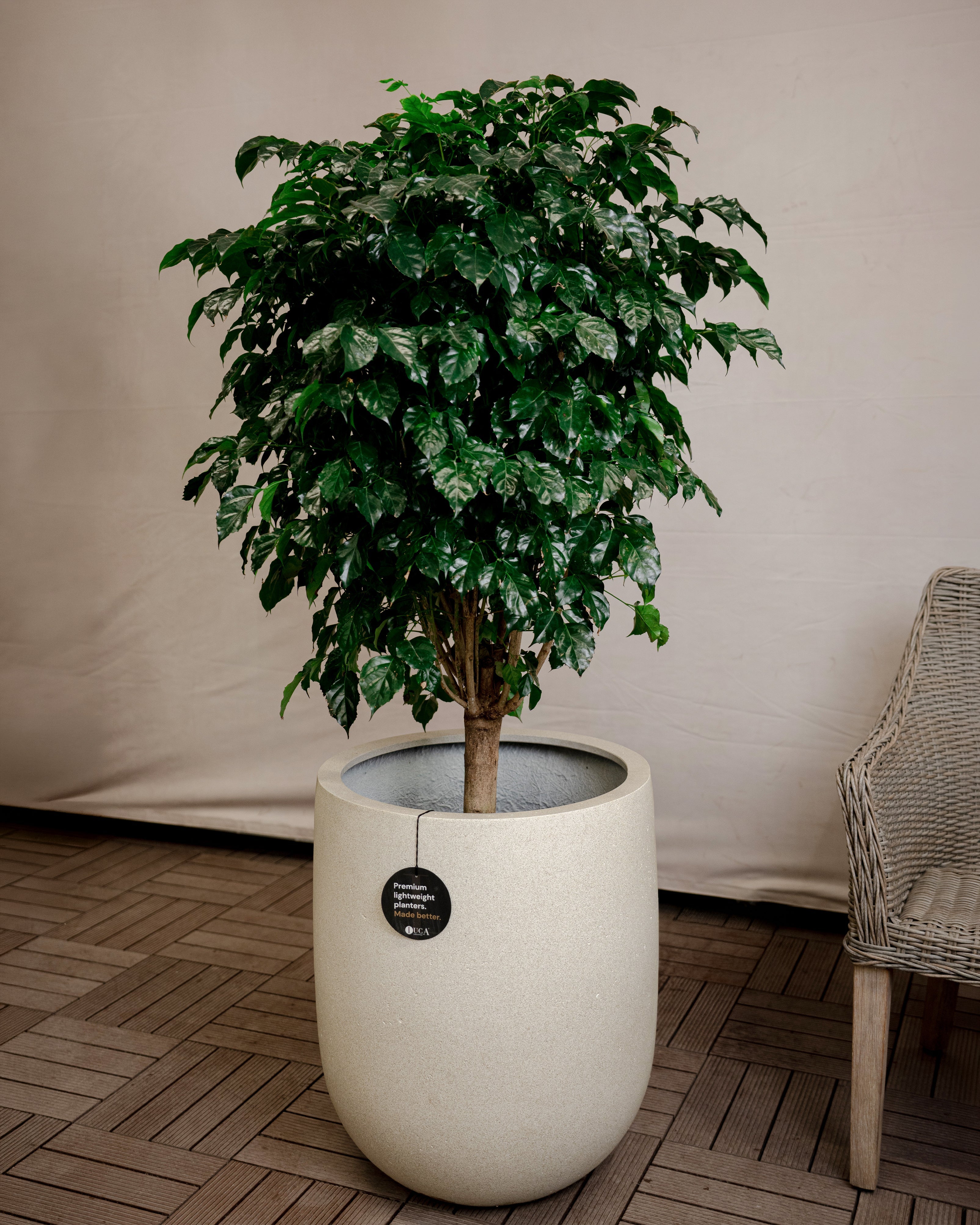 Grigio Tall Egg Pot | Premium Planter, Dia. 30–88 cm - Acacia Garden Center