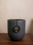 Grigio Tall Egg Pot | Premium Planter, Dia. 30–88 cm - Acacia Garden Center