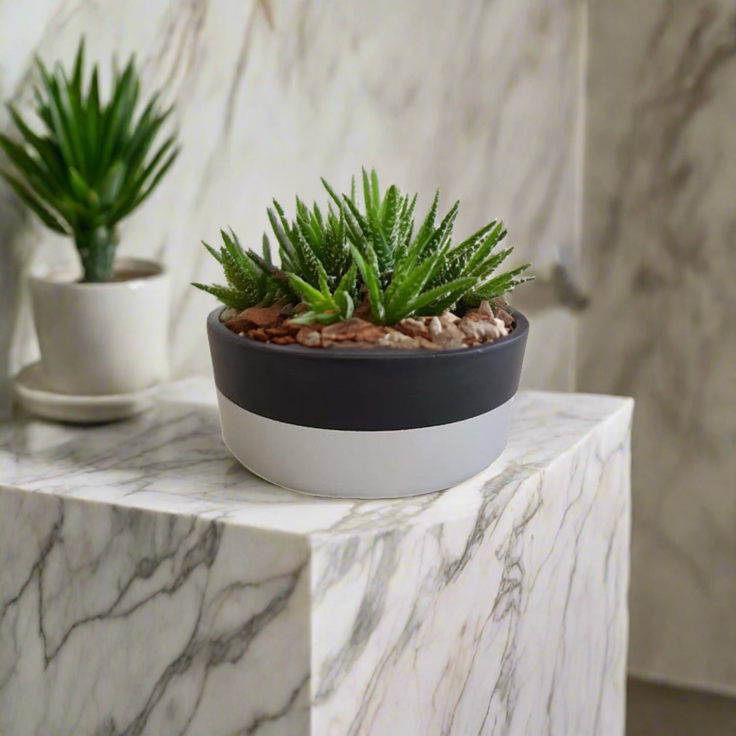 Hand Painted Round Pot | Two - Tone Design, 3 Sizes - Acacia Garden Center