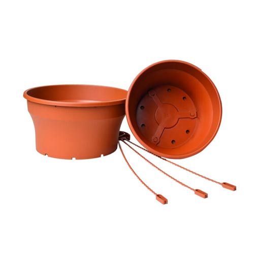 Hanging Bowl Ariete - 22Cm - Acacia Garden Center