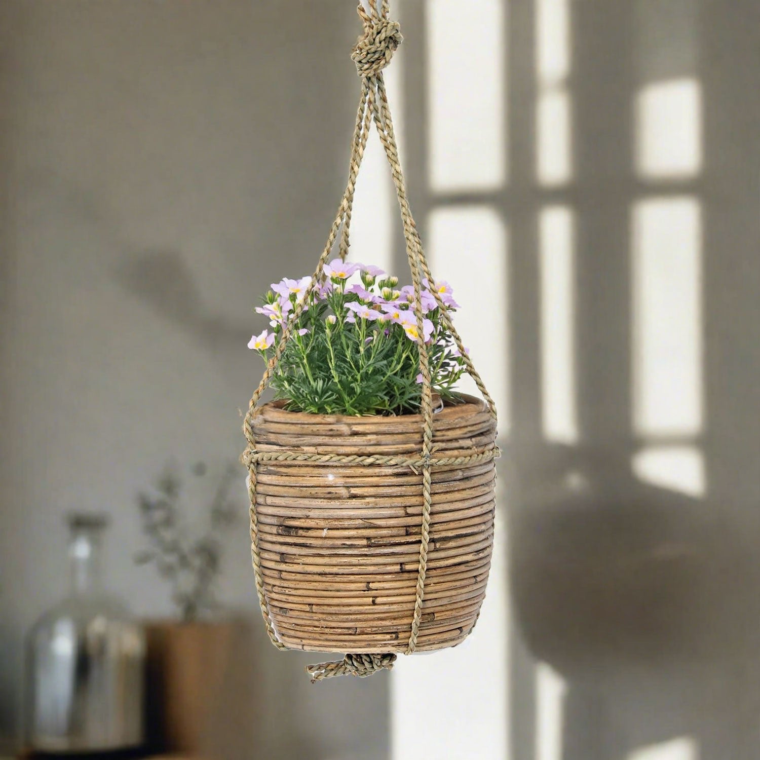Hanging Pot Stripe (302266) | Grey, D13 × 11 cm - Acacia Garden Center