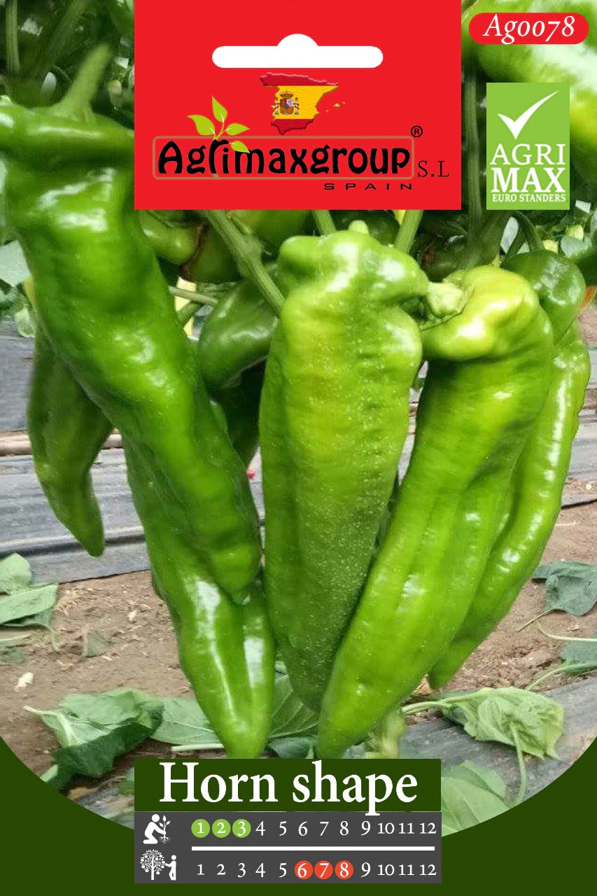 Horn Shape Pepper - Acacia Garden Center
