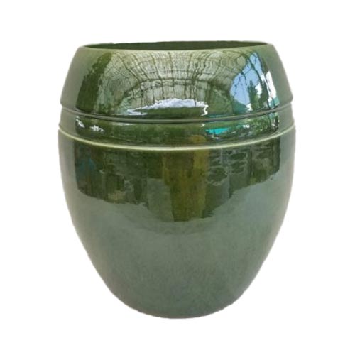 Kubel Massimo Selen Green 13Cm - Acacia Garden Center