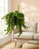 Lipstick Plant ‘Mona Lisa’ (Aeschynanthus radicans) | Hanging, 40–50 cm - Acacia Garden Center