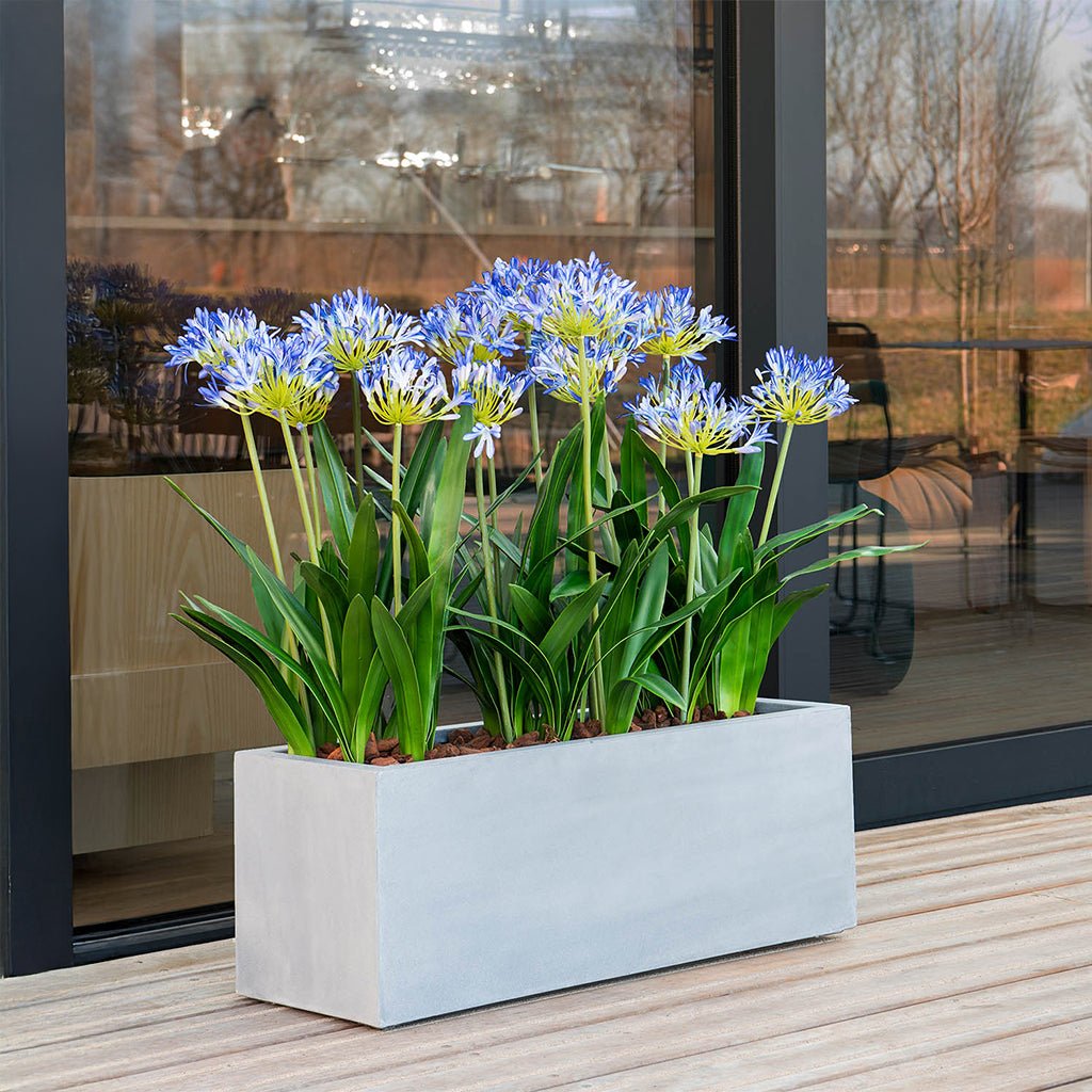 Argento Box Planter | Metallic Finish Dubai – Luca Lifestyle – Acacia ...