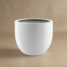 White Luca Lifestyle Argento Egg Pot - Acacia Garden Center