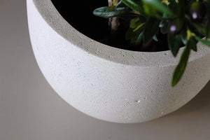Luca Lifestyle - Grigio Egg Pot - Antique White - Acacia Garden Center