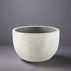 Antique White Luca Lifestyle - Grigio New Egg Pot Low - Antique White - Acacia Garden Center