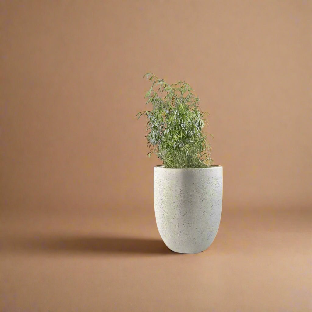 Luca Lifestyle - Grigio Tall Egg - Acacia Garden Center