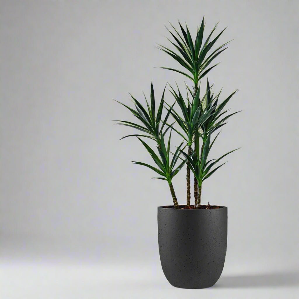 Luca Lifestyle - Grigio Tall Egg - Acacia Garden Center