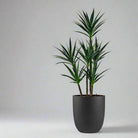 Luca Lifestyle - Grigio Tall Egg - Acacia Garden Center